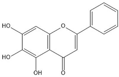 Molecular Mechanisms Underlying Protective Role of Quercetin on Copper Sulfate-Induced Nephrotoxicity in Mice